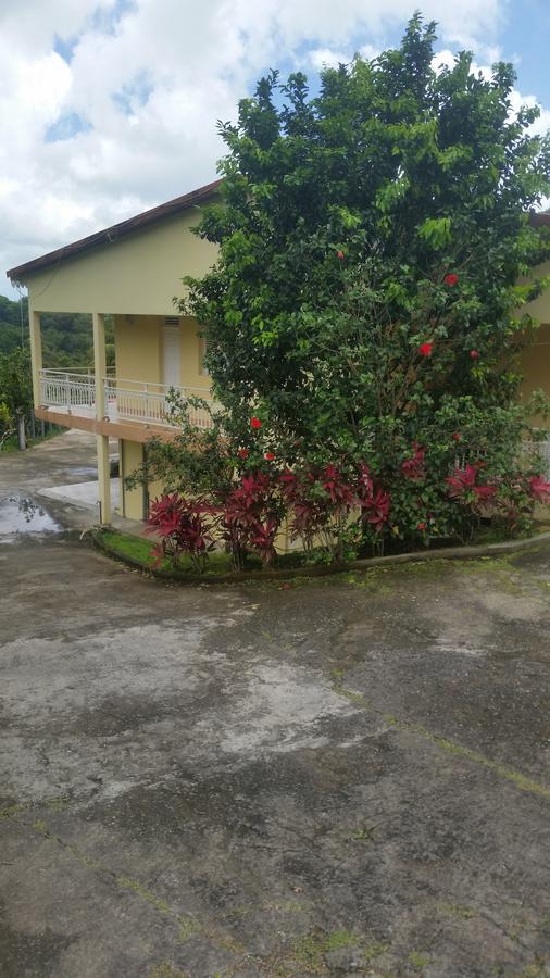 L'Oliveraie Saint-Joseph ภายนอก รูปภาพ